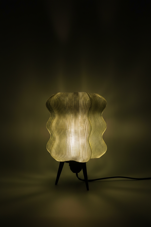 Flora Verde Oscuro – Fondo Estudio